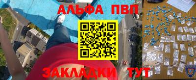 сатива Новозыбков