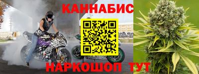 сатива Новозыбков