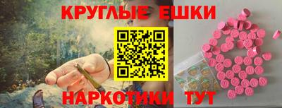 сатива Новозыбков