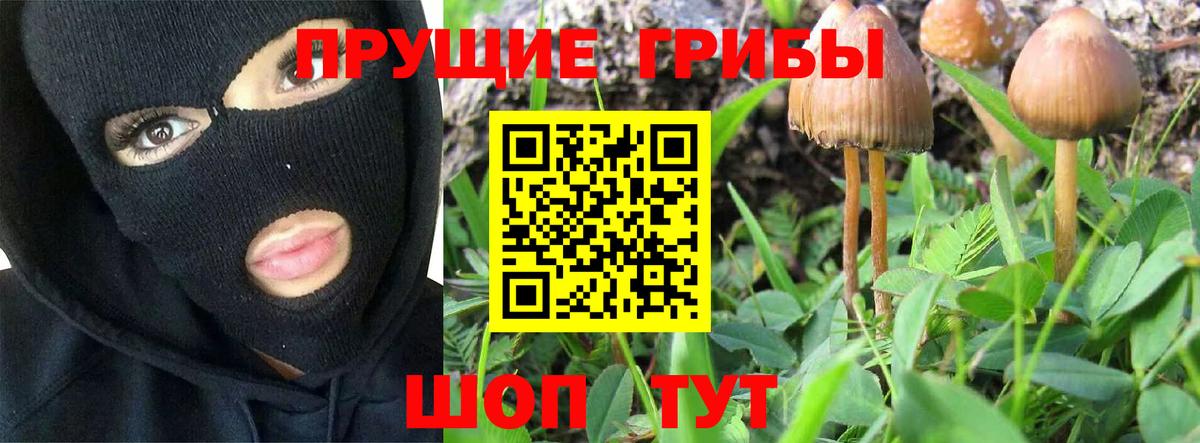 Ступино  Галлюциногенные грибы мухоморы  Вход с VPN 